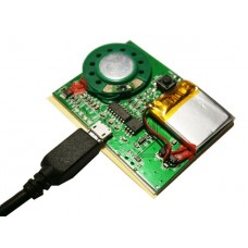 Перезаписываемый USB модуль с кнопкой